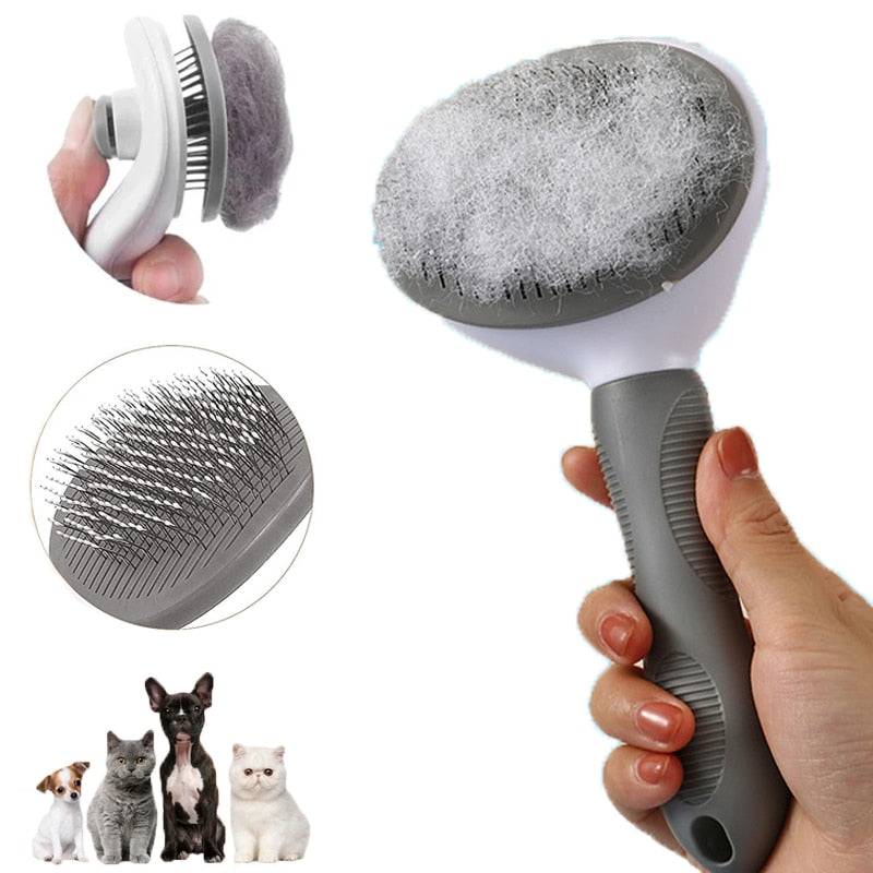 Hair Remover Brush