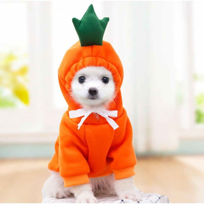 Fruit hoodies