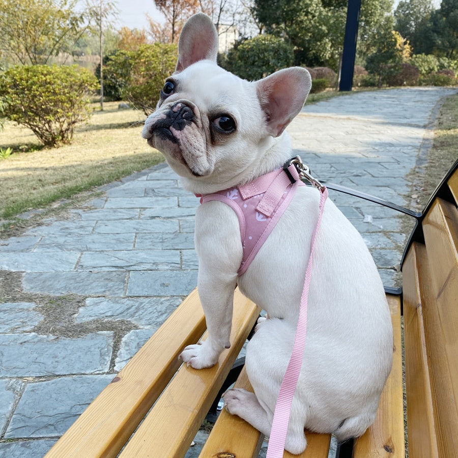 Adjustable Pets Harness Breathable