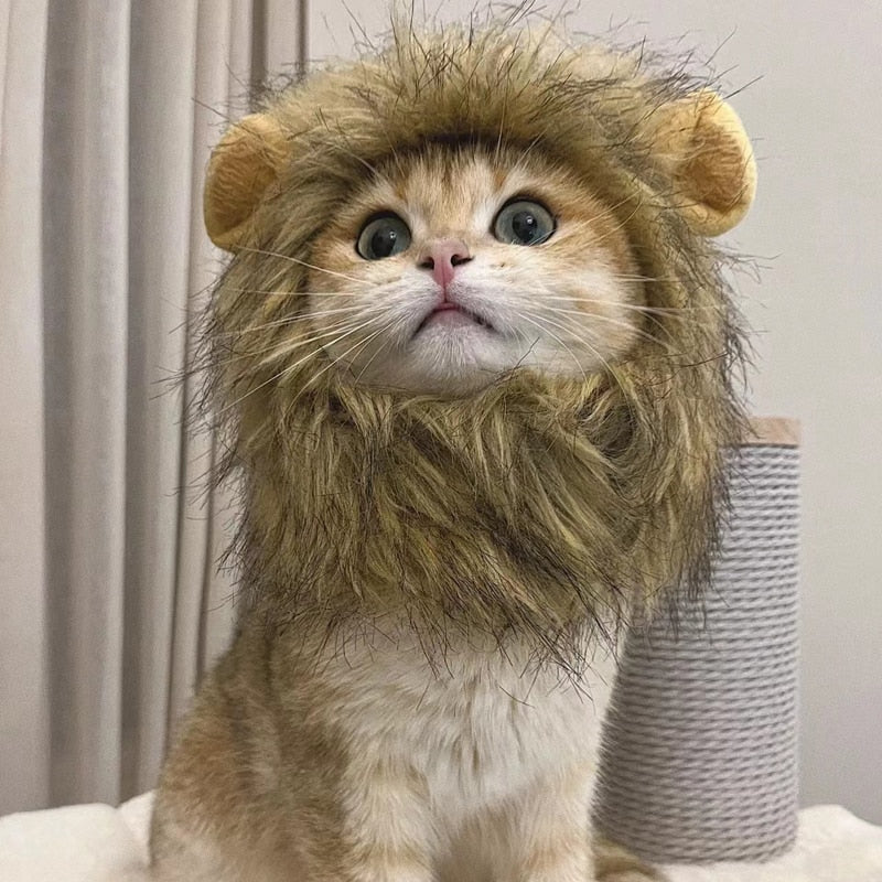 Cute Lion Cap