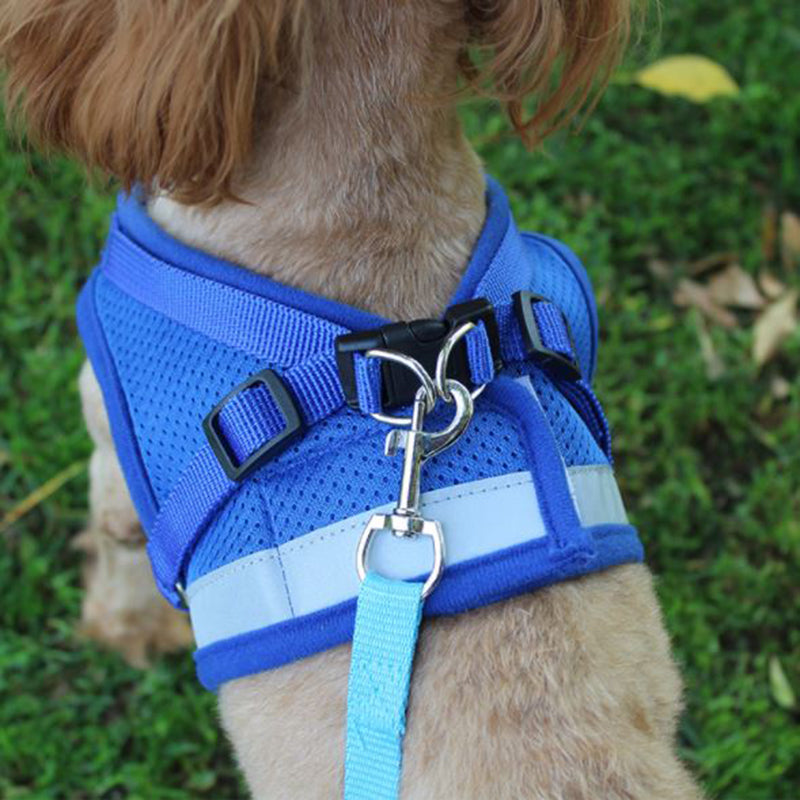 Vest Harness