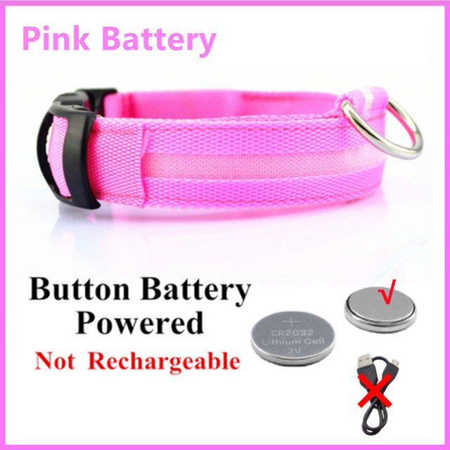 USB Rechargeable Luminous Collar