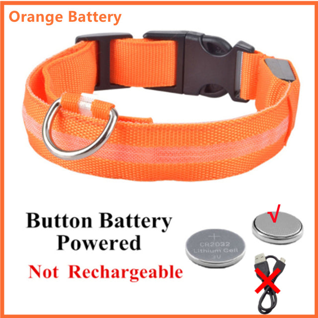 USB Rechargeable Luminous Collar