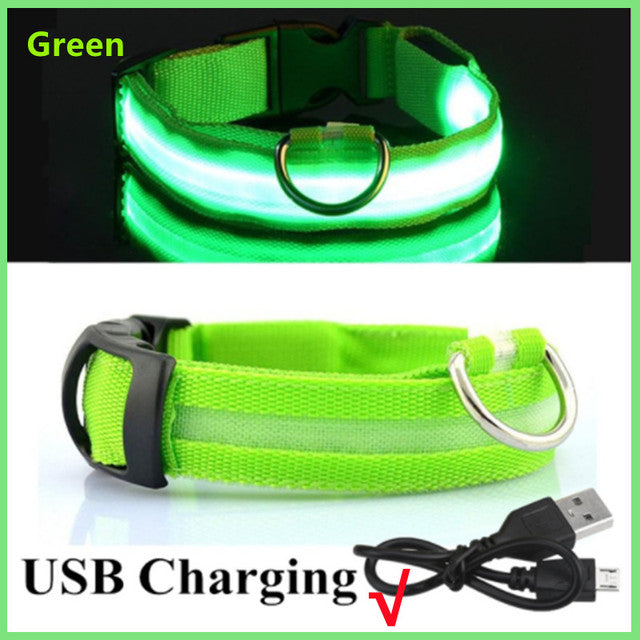 USB Rechargeable Luminous Collar