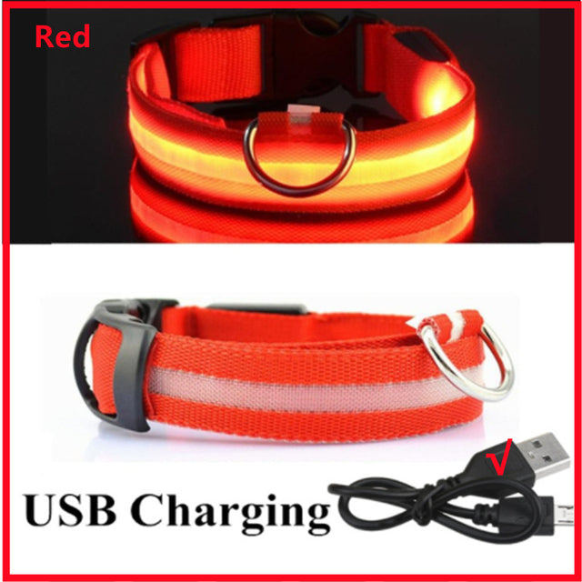 USB Rechargeable Luminous Collar