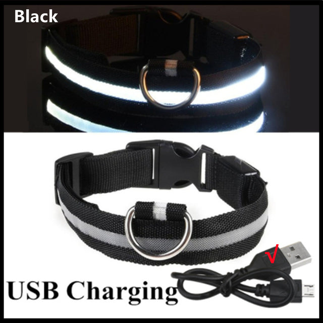 USB Rechargeable Luminous Collar